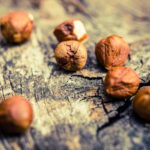 Hazelnuts on Aged Wood