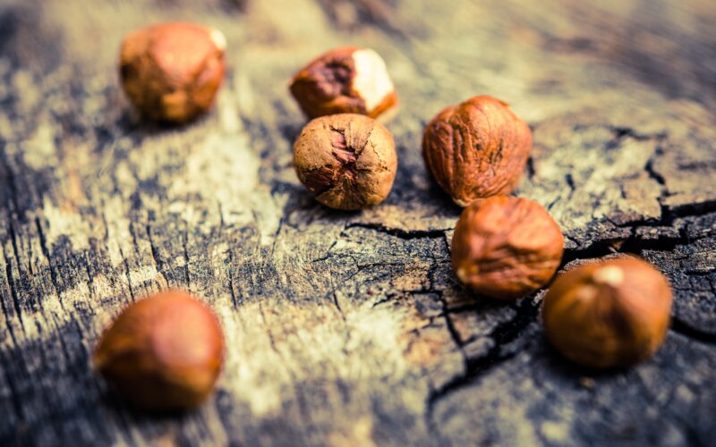 Noisette : danger d’intolérance alimentaire et symptômes associés