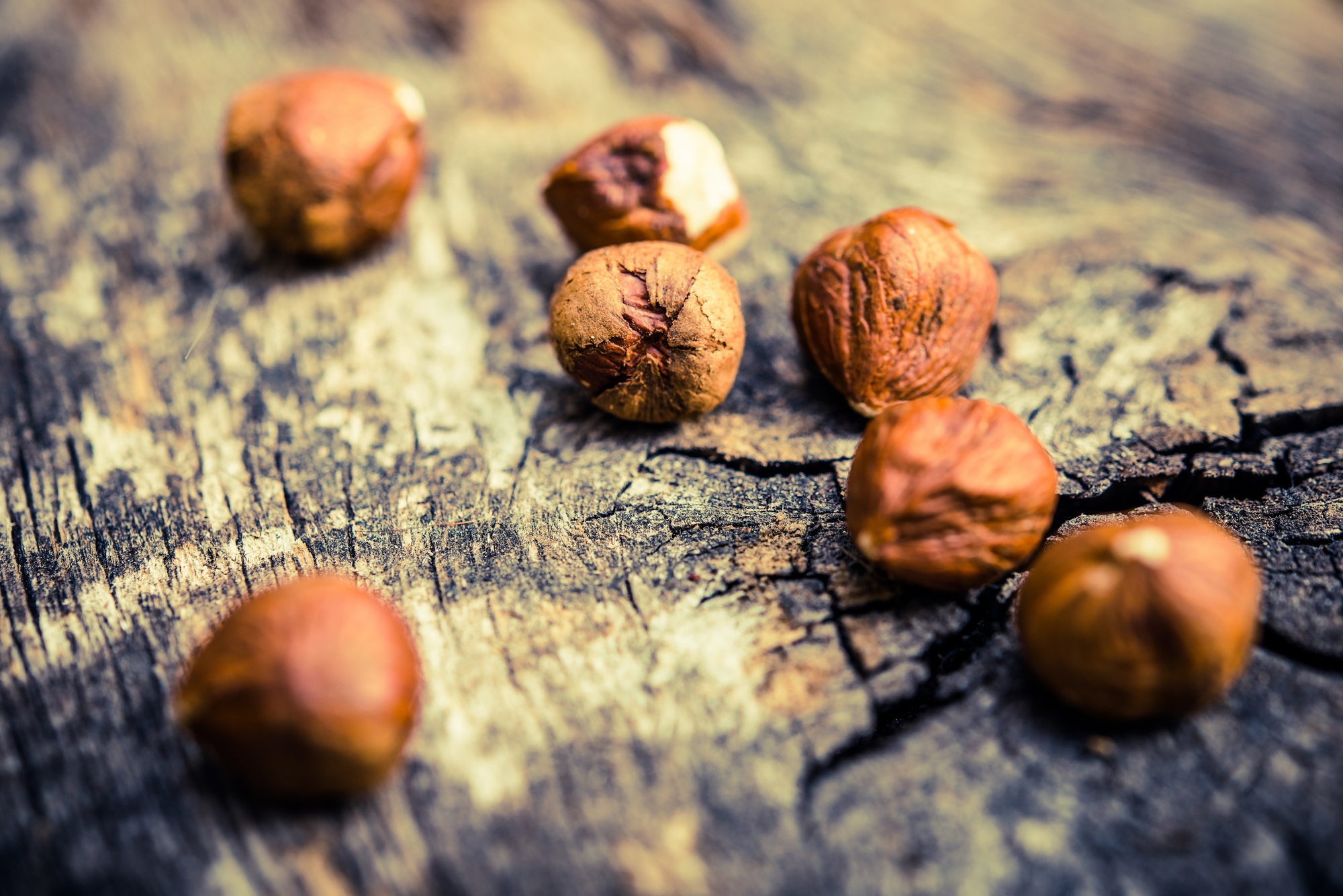 Hazelnuts on Aged Wood