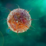 blastocystis hominis