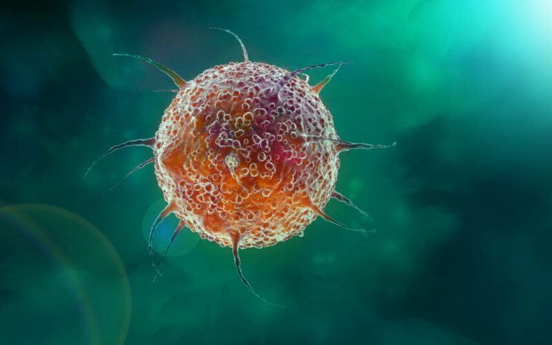 blastocystis hominis