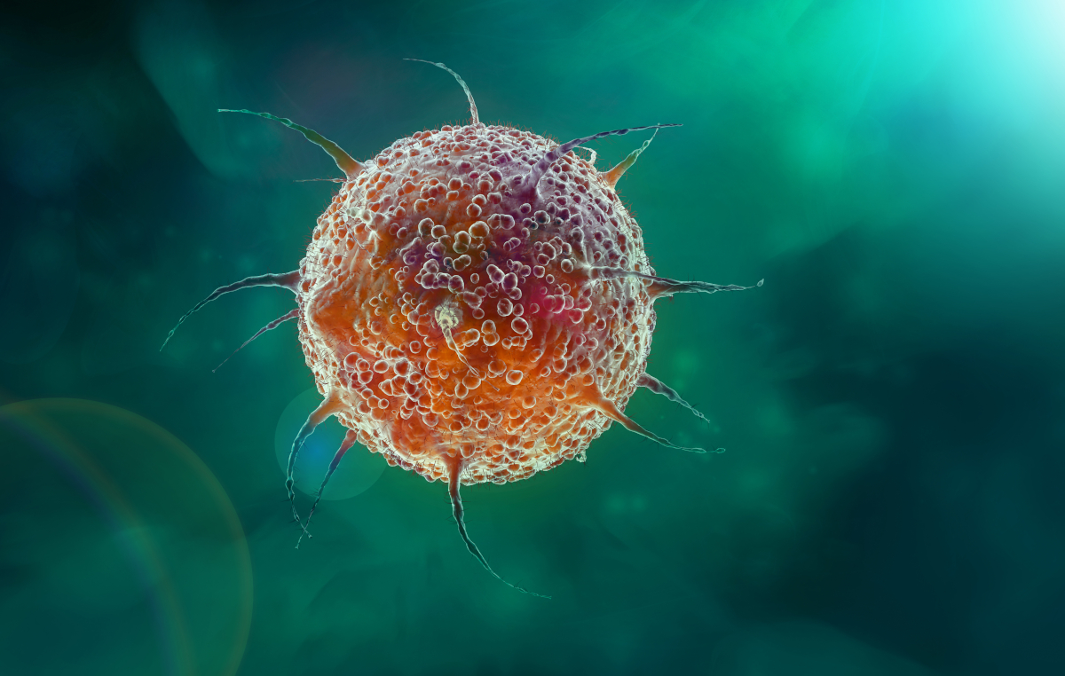 blastocystis hominis