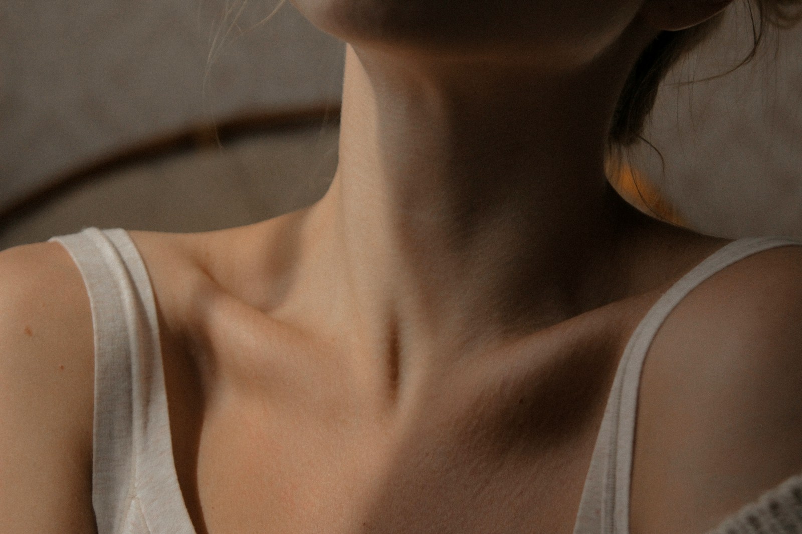 anatomie r