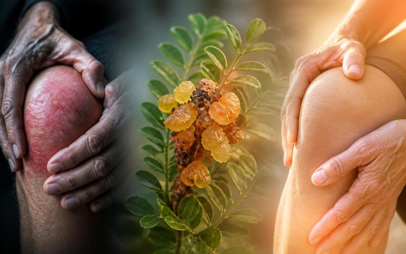 découvrez comment le boswellia peut soulager l'arthrose et améliorer significativement votre qualité de vie grâce à ses propriétés anti-inflammatoires naturelles.