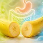 découvrez si la banane est acide ou alcaline et comprenez ses effets sur votre santé digestive pour mieux équilibrer votre alimentation.